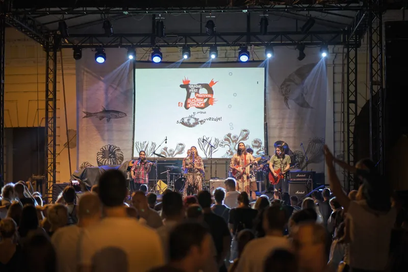 Concert – photo 8 of 42