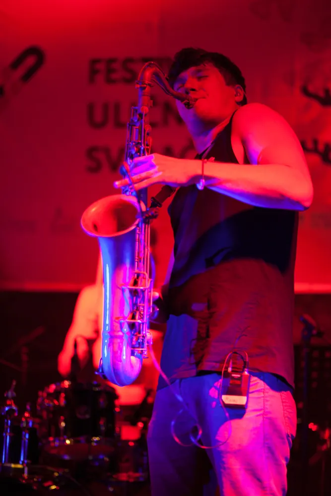 Street Musicians Festival Novi Sad 2016. – photo 6 of 16
